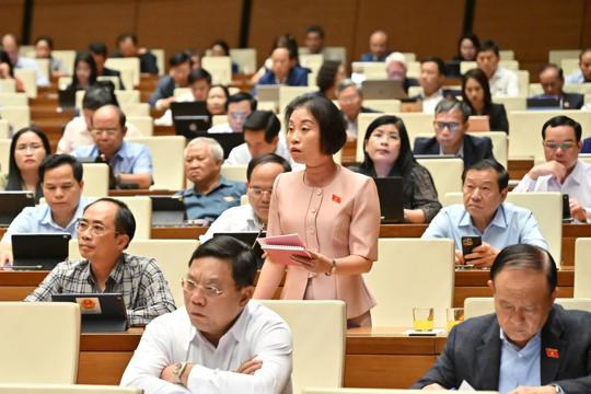 Quốc hội thảo luận về phát triển kinh tế - xã hội và tình hình thực hiện dự toán ngân sách Nhà nước 