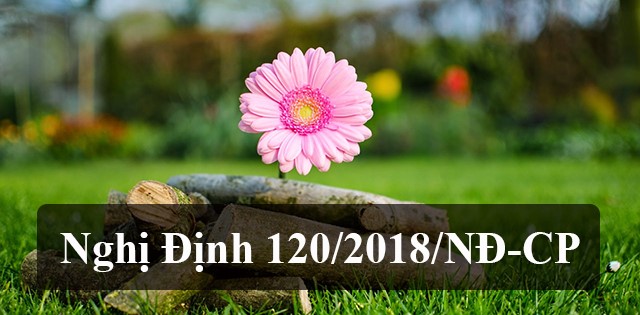 Nghị định 120/2018 của Chính phủ về đầu tư công yêu cầu nhiều nội dung phải báo cáo HĐND