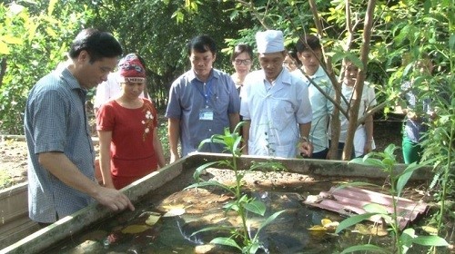 Phúc Thọ: Kết qủa giám sát việc thực hiện tiêu chí nước sạch trên địa bàn huyện