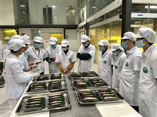 Khảo sát tình hình sản xuất nông nghiệp và cung ứng các mặt hàng nông sản để phục vụ nhu cầu người tiêu dùng trước, trong và sau Tết Nguyên đán 