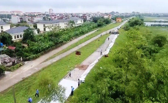 Bộ Nông nghiệp và PTNT trả lời cử tri về nắn chỉnh đê sông Đáy