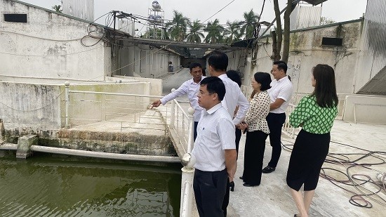 Khảo sát mô hình chuỗi sản xuất kinh doanh của Hợp tác xã Hoàng Long