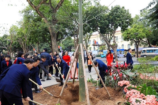 Chủ tịch HĐND thành phố Nguyễn Ngọc Tuấn dự Tết trồng cây tại quận Hoàn Kiếm 
